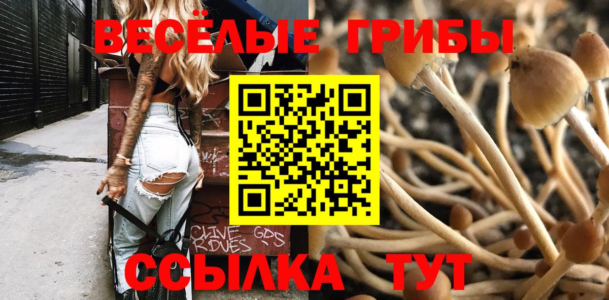 Галлюциногенные грибы мухоморы Аксай